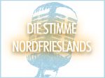 logo-snf